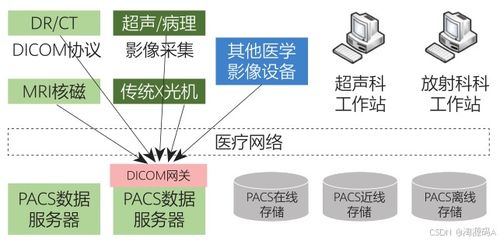 数字化医学影像系统PACS 源码解析、影像存储与传输及三维重建功能